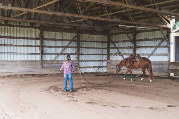 istock Woman training her horse in the barn 1139114389