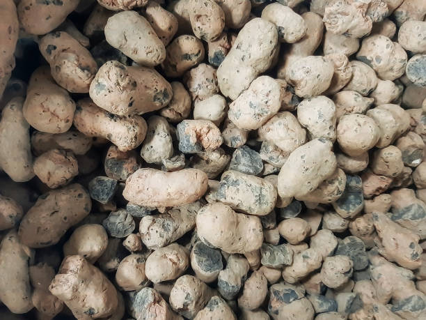 istock Expanded clay aggregate gravel. Material used for construction close-up. 1139115767