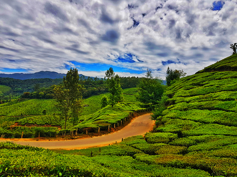 High Dynamic range landscape of munnar tea gardens kerala