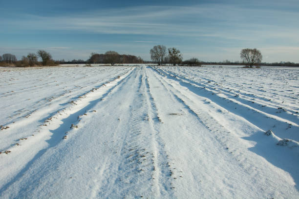 istock Road and fields covered with snow, trees on the horizon and blue sky 1139116232