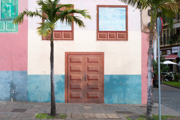 trompe-l'œil malowane drzwi i okna na froncie domu w towarzystwie zielonej palmy. - malarstwo iluzjonistyczne zdjęcia i obrazy z banku zdjęć