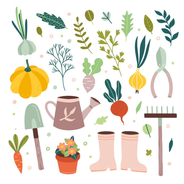 illustrazioni stock, clip art, cartoni animati e icone di tendenza di attrezzi da giardino attrezzatura da giardinaggio vettoriale e simpatici elementi della fattoria e verdure su sfondo bianco - watering can illustrations