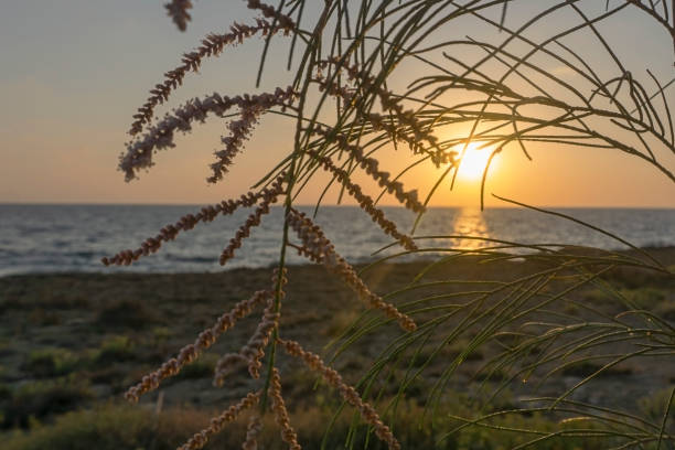 istock Sunrise at sea 1139125353