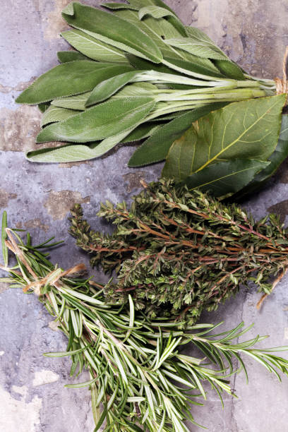 istock Homegrown and aromatic herbs on rustic background with rosemary and basil 1139126865