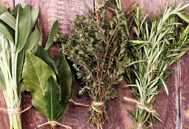 istock Homegrown and aromatic herbs on rustic background with rosemary and basil 1139127176