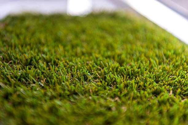 istock Grass - small depth of field 1139130045