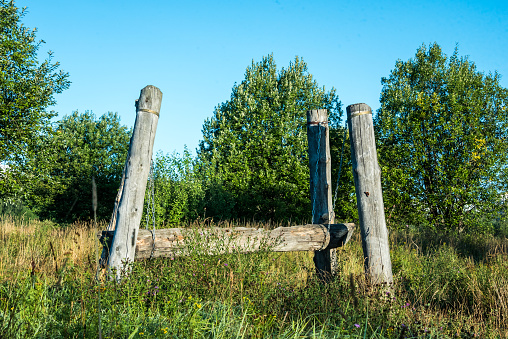 Old swing on a meadow in the forest