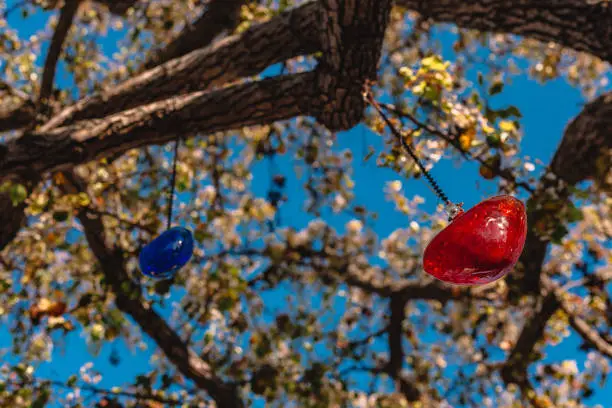 Glass blown heart shapes in trees
