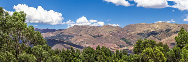 panorama delle ande - block the americas mountain peak plateau foto e immagini stock