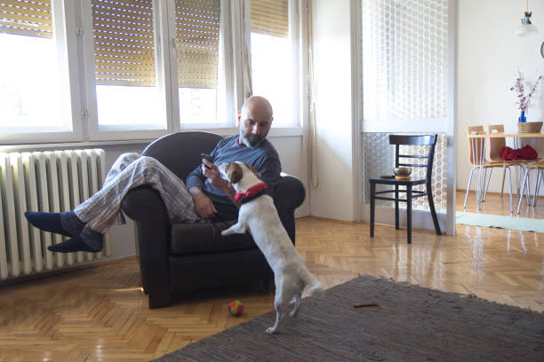 istock Man with a dog at home 1139133618