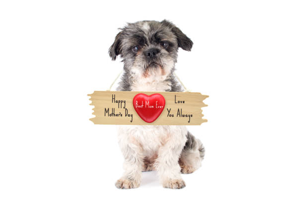 istock Happy Mother's Day 1139133752
