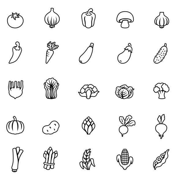 illustrations, cliparts, dessins animés et icônes de icônes de ligne de légumes - zucchini vegetable squash market