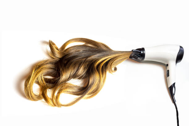 hair dryer blowing brown curvy hair on isolated white background hair dryer blowing brown balayage curvy hair on isolated white background fen photos stock pictures, royalty-free photos & images