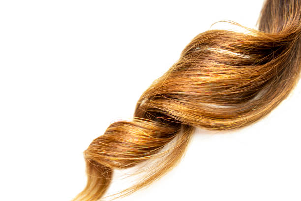 istock long brown curly hair on white isolated background 1139142650