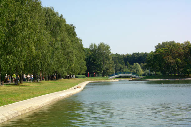 istock summer in city park 1139142934