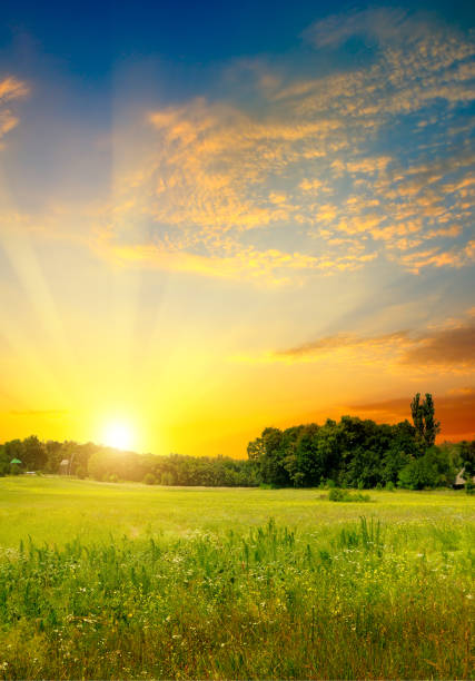 istock Green field and bright sunset. Rural landscape. 1139144033