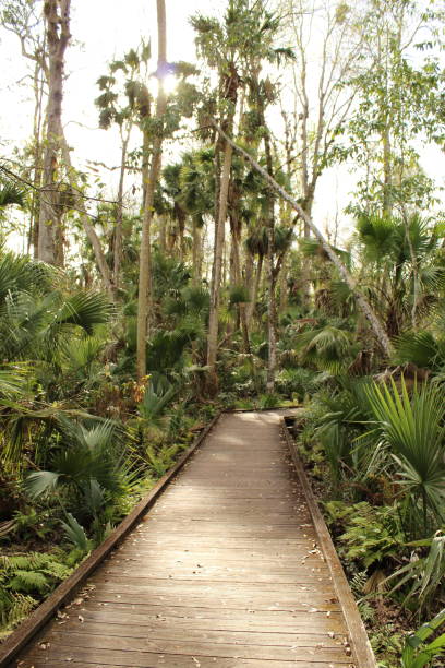 istock Wekiva Springs Hiking 1139146112