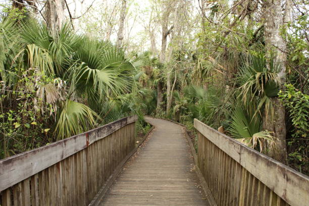 istock Wekiva Springs Hiking 1139146128