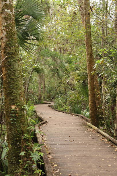 istock Wekiva Springs Hiking 1139146223