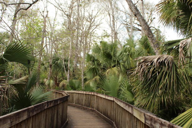 istock Wekiva Springs Hiking 1139146305