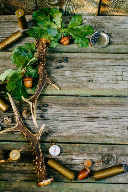 istock Hunting equipment from left side on wood board. Top view 1139147252