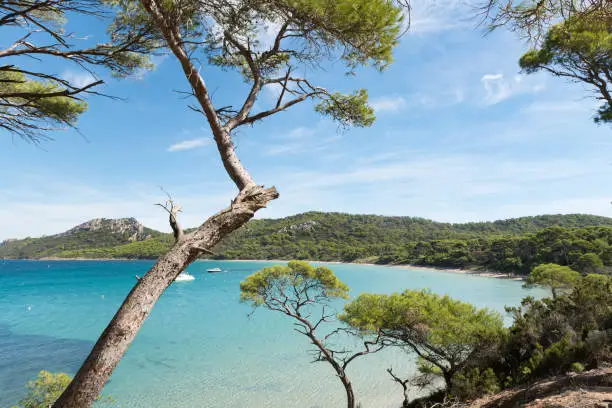 Beautiful bay in Porquerolles island, archipelago of the Ãles d'HyÃ¨res, in the south of France.