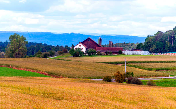 scena wiejska - french culture france vineyard non urban scene zdjęcia i obrazy z banku zdjęć