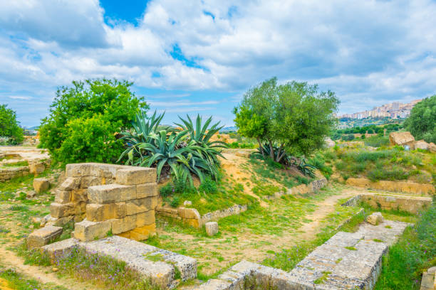 vista de las ruinas del templo de zeus en el valle de los templos cerca de agrigento en sicilia, italia - 11206 fotografías e imágenes de stock