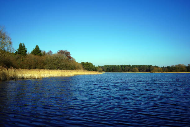 istock Reflection of woodland on a lake 1139155691