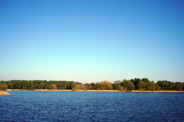 istock Reflection of woodland on a lake 1139155889