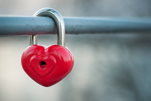 red metal padlock heart of lovers on the fence of the bridge in the park. concept