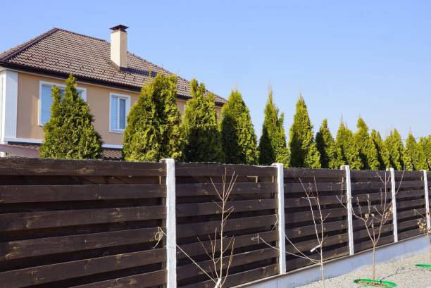 recinzione di legno marrone e una fila di conifere verdi in strada - privacy partition foto e immagini stock