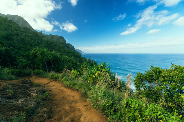 kalalau-trail auf kauai, hawaii - kauai travel destinations tourism photography stock-fotos und bilder