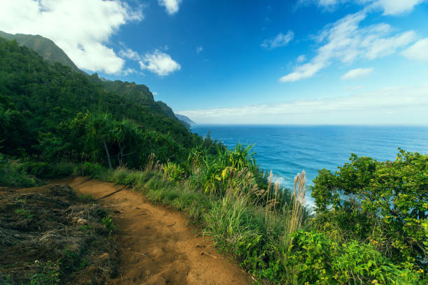 sentier de kalalau sur kauai, hawaï - hawaii islands mountain kauai sea photos et images de collection