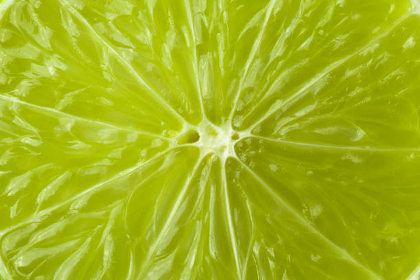 istock A slice of lime is a large species. 1139164921