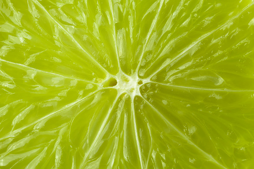 A slice of lime is a large species. Macro. background.