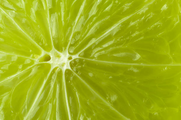 istock A slice of lime is a large species. 1139164954
