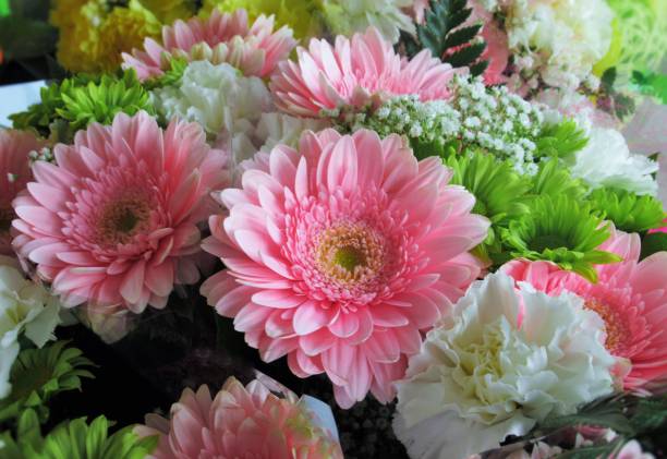 istock Pretty Attractive Gerbera Daisy Flowers Bouquet 1139173120