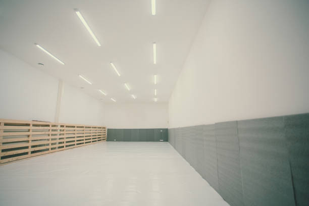 Gymnasium for martial arts training with tatami mat