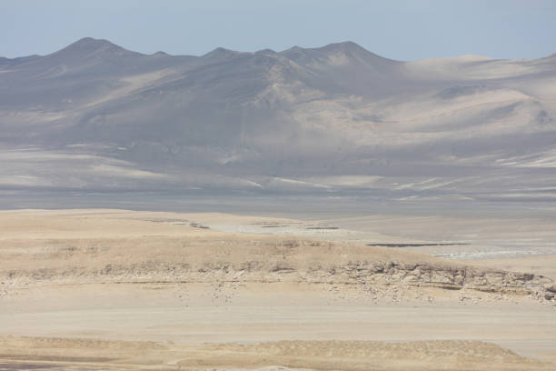 istock Flamingos  in Paracas, Peru 1139183041