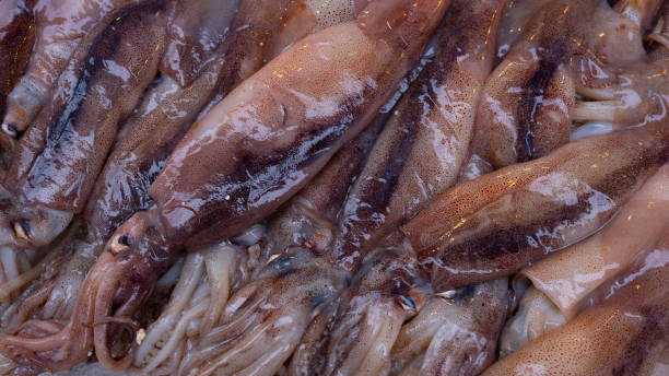 fish at seamarket - coryphaena fotografías e imágenes de stock
