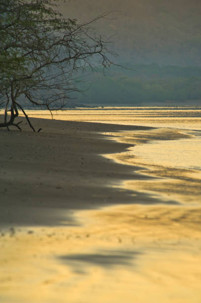 black sand beach at papagayo bay, costa rica - allegro imagens e fotografias de stock