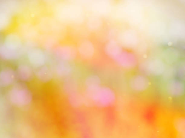 istock Leaf bokeh in the forest, missed focus 1139188341