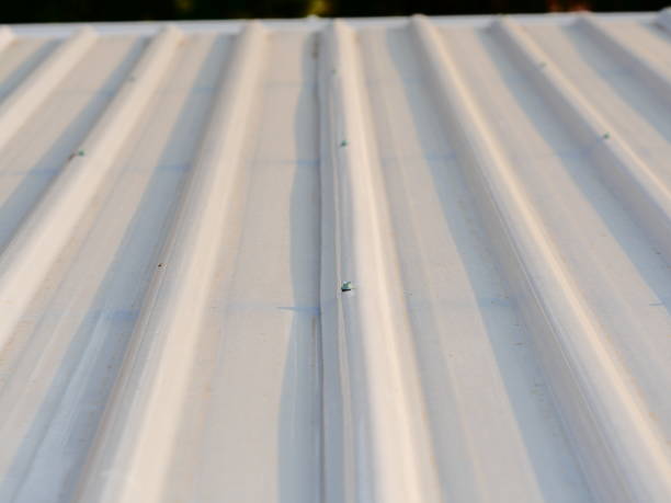 istock Sheet metal white texture corrugated with roof 1139189276