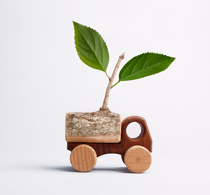 Little wooden truck with leafy branch.