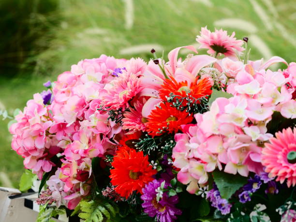 istock Background many flowers in garden 1139192912
