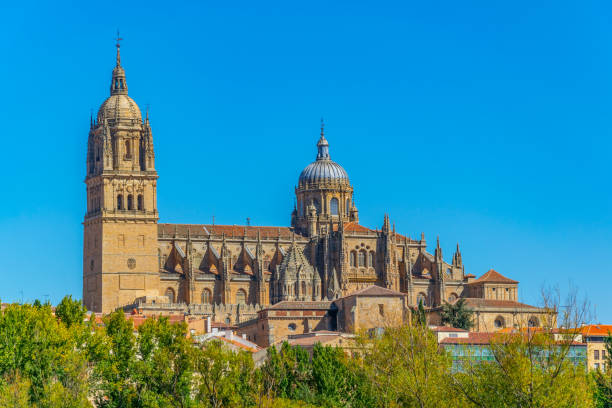 istock Cathedral of Salamanca, Spain 1139201353