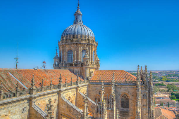 istock Cathedral of Salamanca, Spain 1139201539