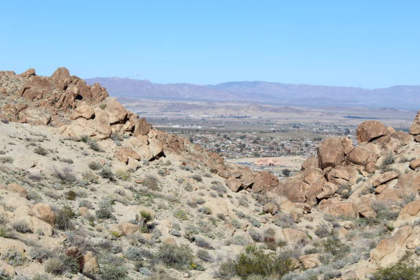 istock ROCKY REVIEW - JOSHUA TREE NP - 49P - 020419 I 1139211547