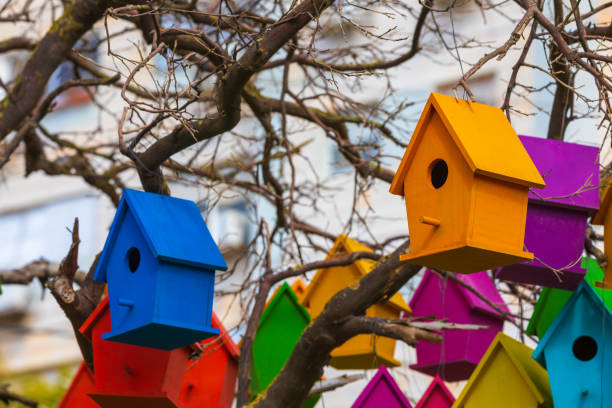 istock Orange and blue birdhouses on tree 1139212402